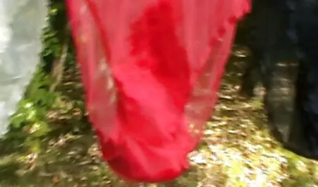 Curva filme pornocu cai tanara a fost permisa in cerc in natura