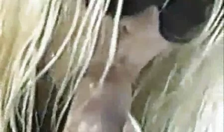 La domiciliu, un student intră în falusul portocaliu videoclipuri sexi gratis în vagin, în pat.