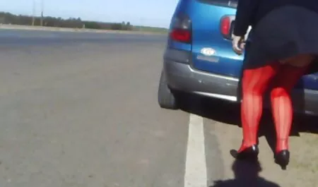 Exigente xxx cu sexi braileanca iubitul face o mulțime de asiatice penis